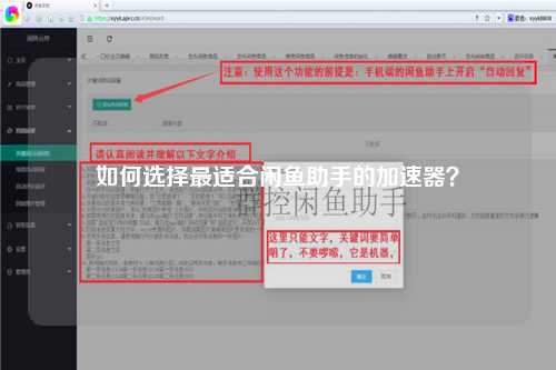 如何选择最适合闲鱼助手的加速器？
