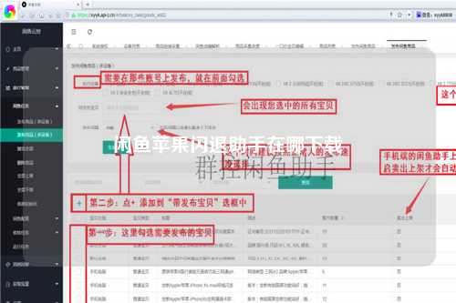 闲鱼苹果闪退助手在哪下载