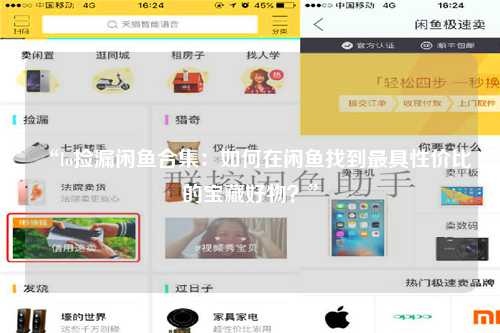 “lo捡漏闲鱼合集：如何在闲鱼找到最具性价比的宝藏好物？”