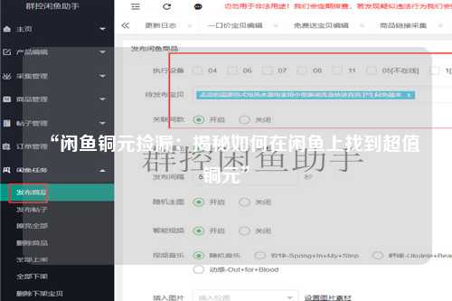 “闲鱼铜元捡漏：揭秘如何在闲鱼上找到超值铜元”